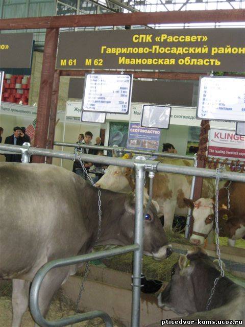 Спк кострома. СПК рассвет Ивановская область. Непотягово Ивановская область СПК рассвет.